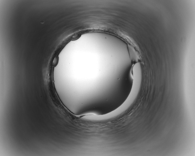 X0000087640628200705311327