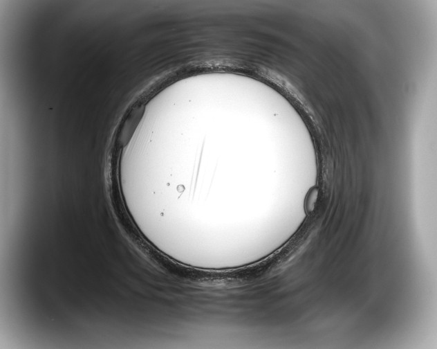 X0000087640629200705311327