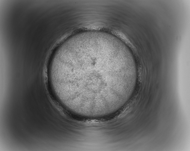 X0000087640634200705311327