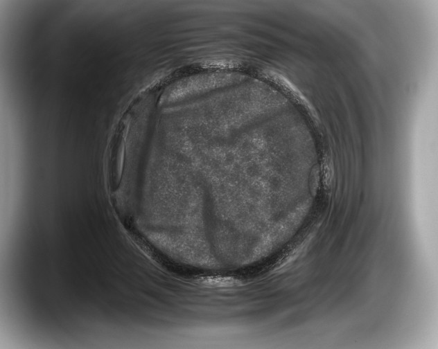 X0000087640637200705311327