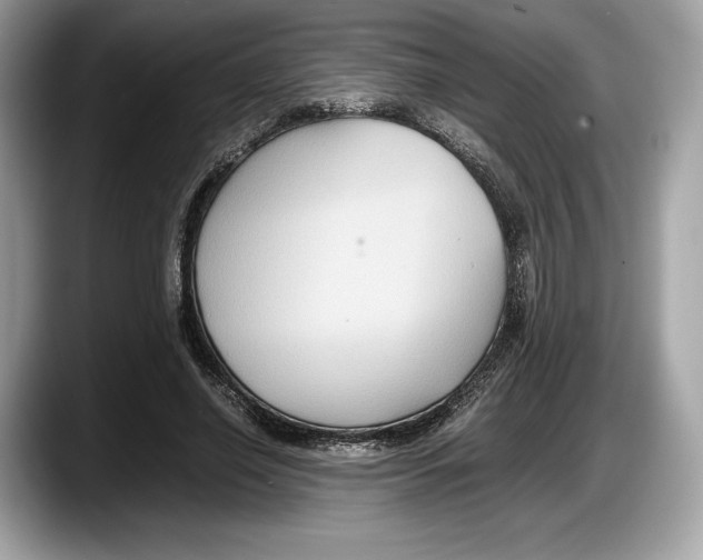 X0000087640638200705311327