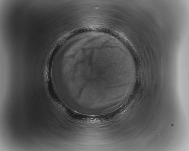 X0000087640640200705311327