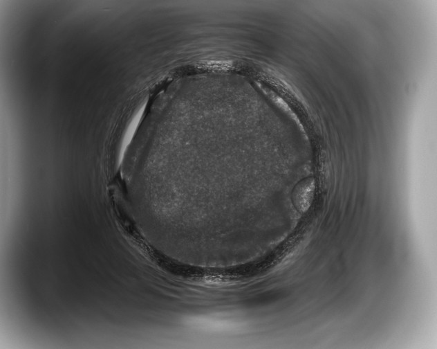 X0000087640641200705311327