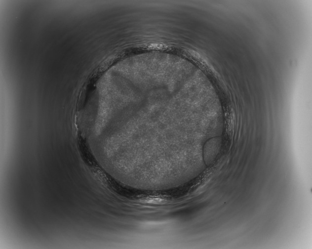 X0000087640643200705311327