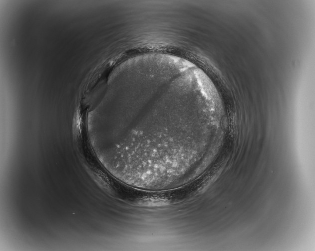 X0000087640644200705311327