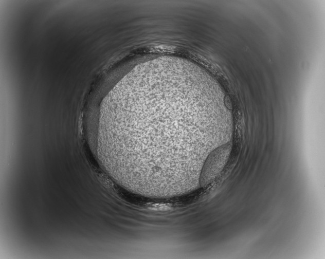 X0000087640649200705311327