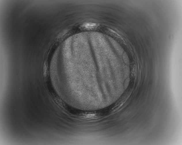 X0000087640651200705311327