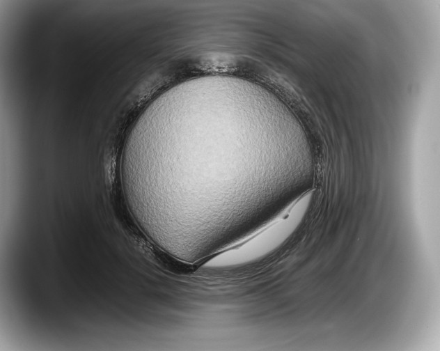 X0000087640652200705311327