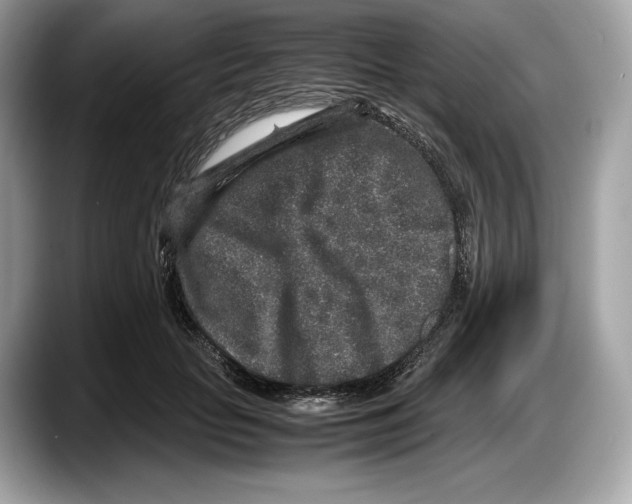 X0000087640653200705311327