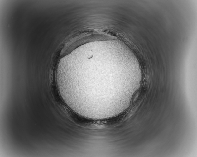 X0000087640656200705311327