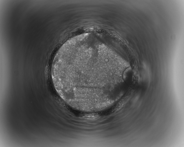 X0000087640659200705311327