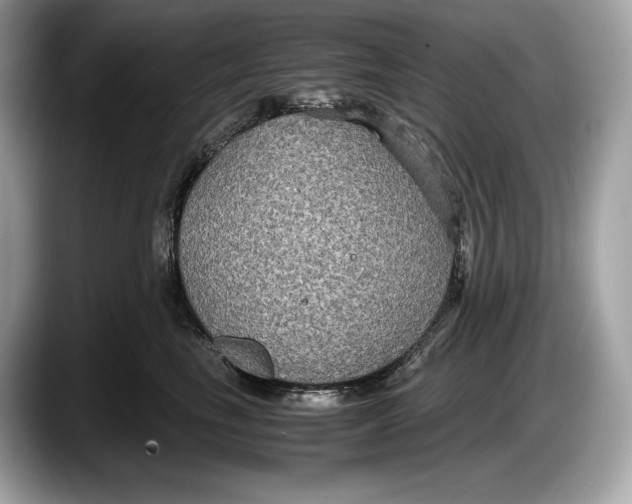 X0000087640665200705311328