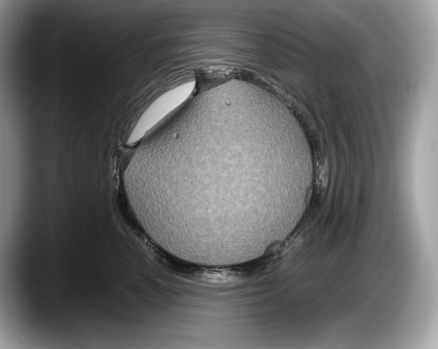 X0000087640666200705311328