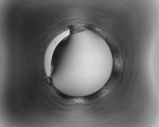 X0000087640668200705311328