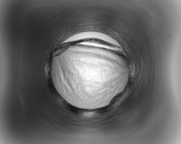 X0000087640669200705311328