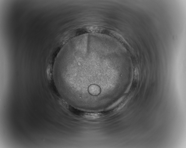 X0000087640671200705311328