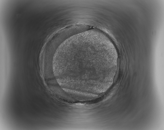 X0000087640673200705311327