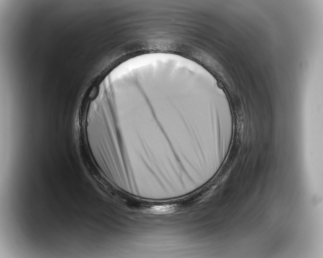 X0000087640674200705311327