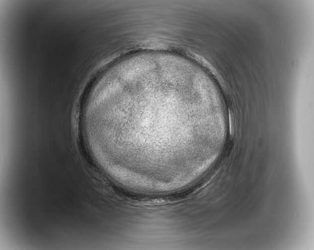 X0000087640675200705311327