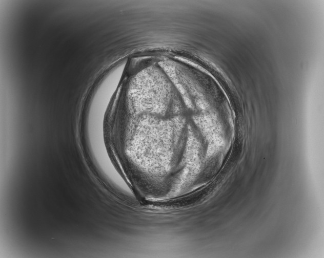 X0000087640677200705311327