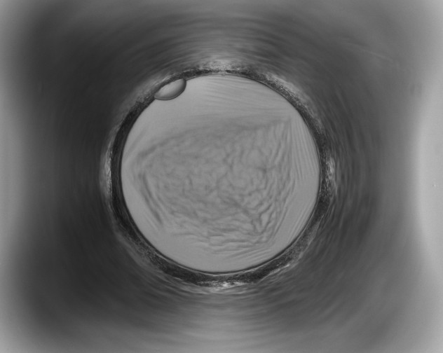 X0000087640678200705311327