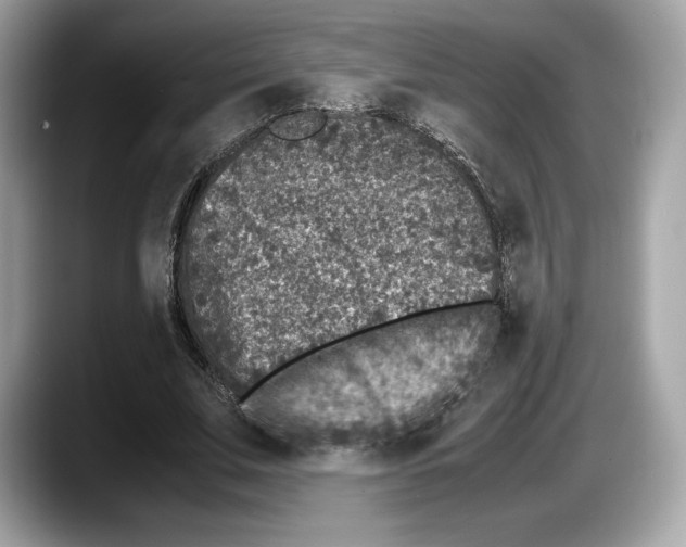 X0000087640679200705311327