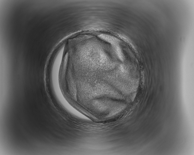 X0000087640680200705311327