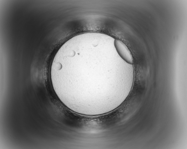 X0000087640683200705311327