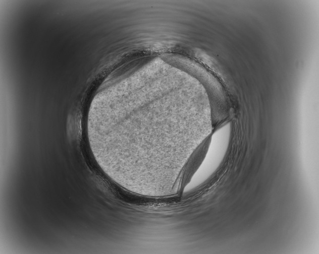 X0000087640685200705311327