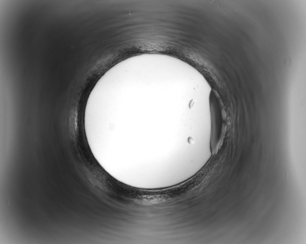 X0000087640686200705311327