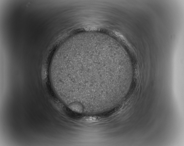 X0000087640687200705311327