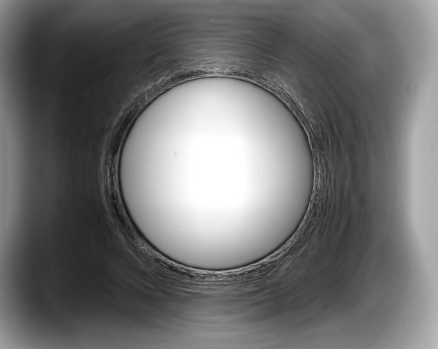 X0000087640688200705311327