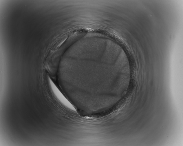 X0000087640689200705311327