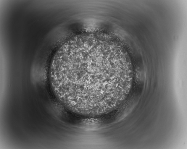 X0000087640691200705311327