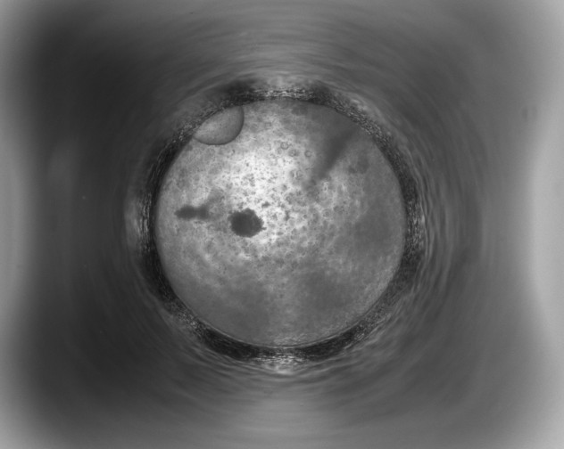 X0000087640695200705311327