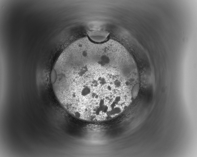 X0000087640699200705311327