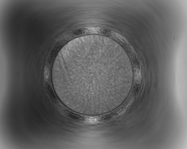 X0000087640701200705311327