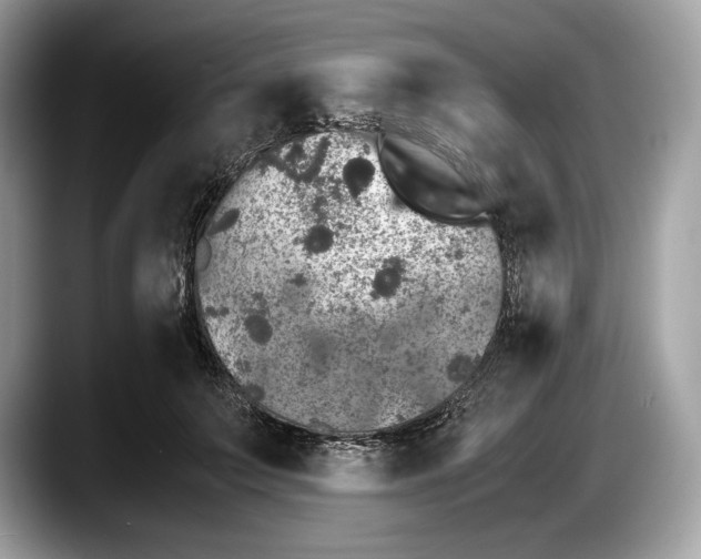 X0000087640703200705311327