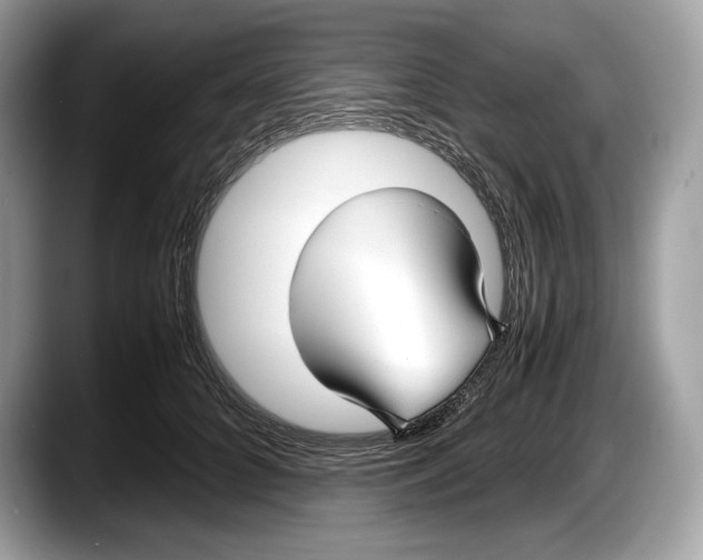 X0000087640704200705311327