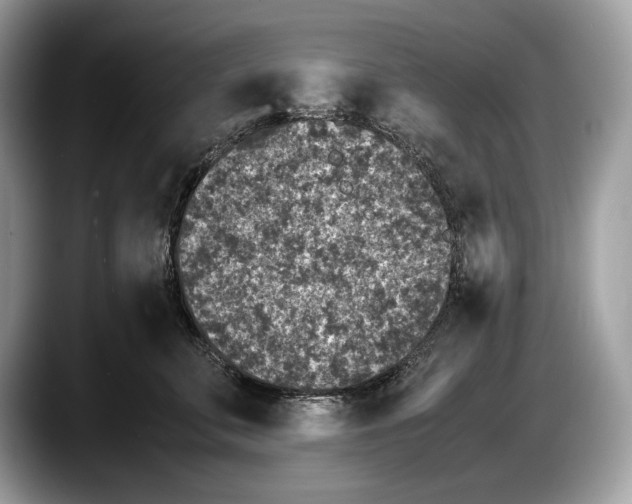 X0000087640711200705311327