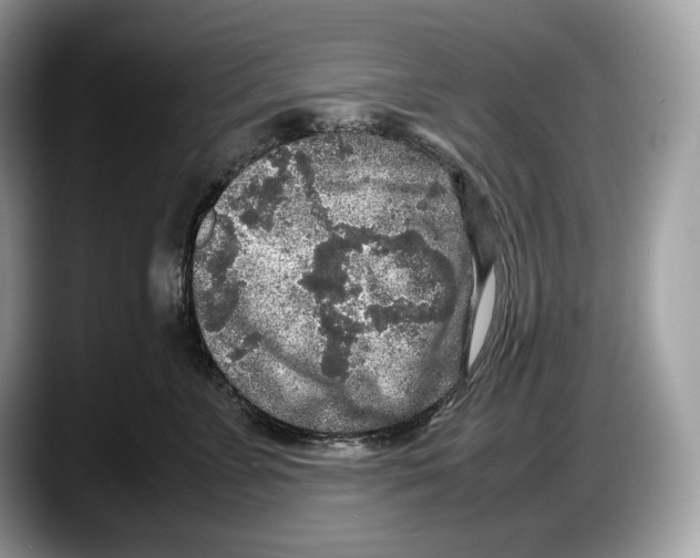 X0000087640715200705311327