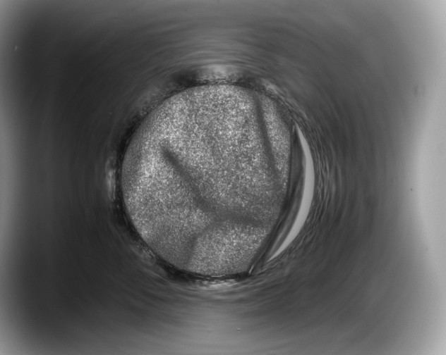 X0000087640716200705311327