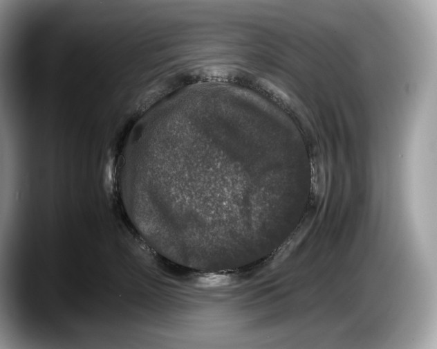 X0000087640718200705311326