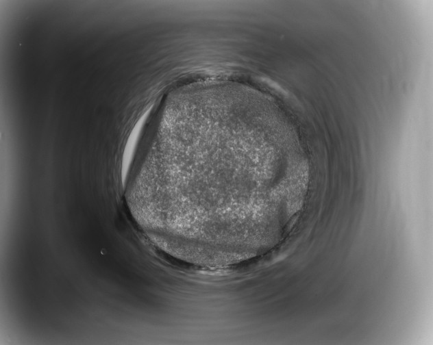 X0000087640720200705311326