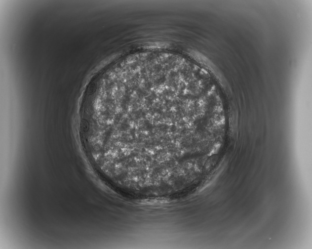 X0000087640721200705311326