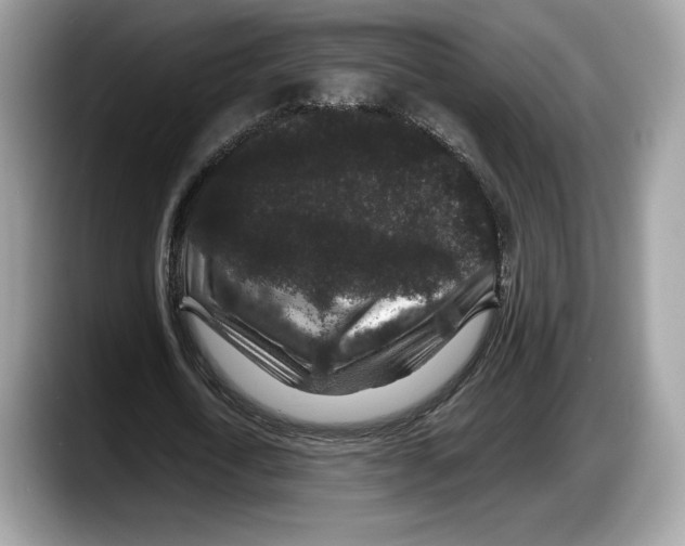 X0000087640722200705311326