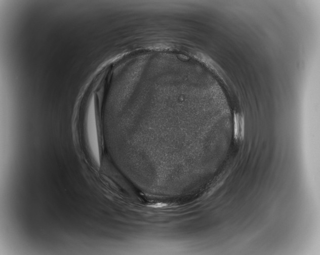 X0000087640723200705311326