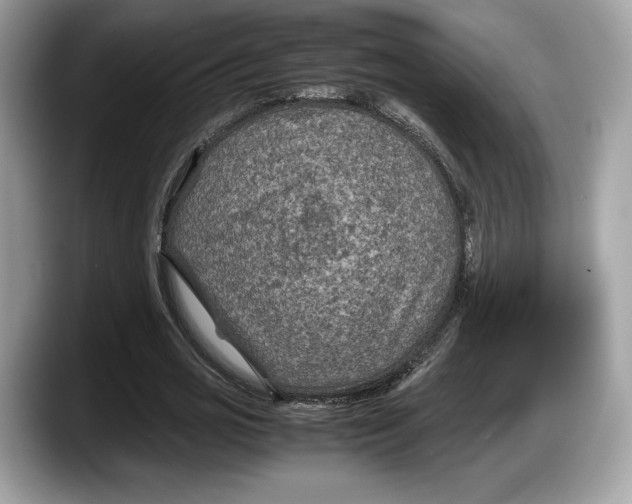 X0000087640725200705311326