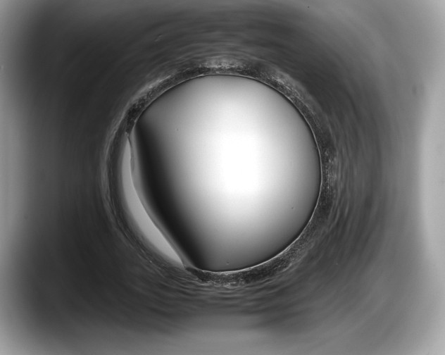 X0000087640727200705311326