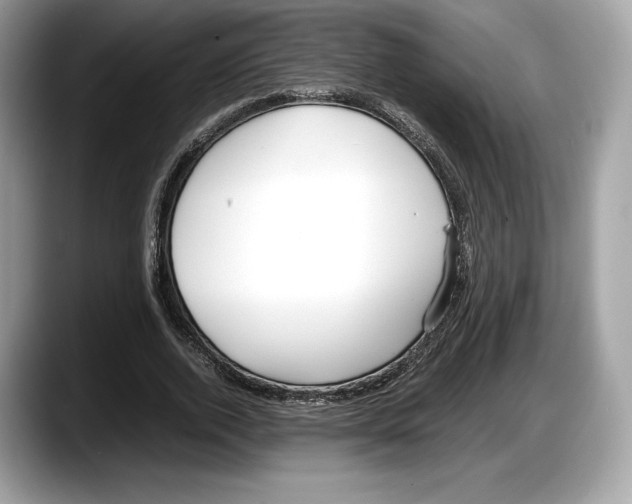 X0000087640728200705311326